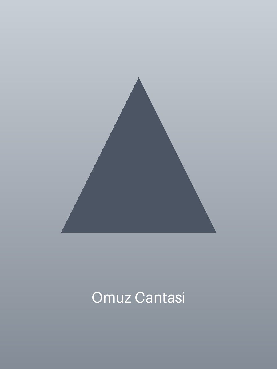 Omuz Çantası