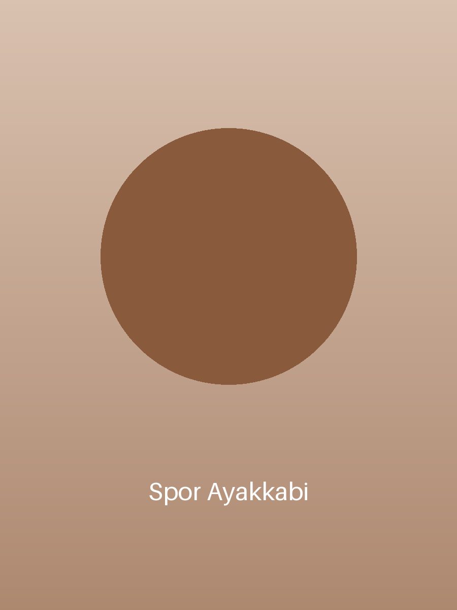 Spor Ayakkabı